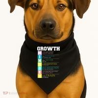 Growth New Mindset And Resolution  USA-Made Doggie Bandana thumb 1