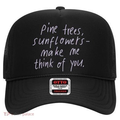 Giant Rooks Pink Skies Hat