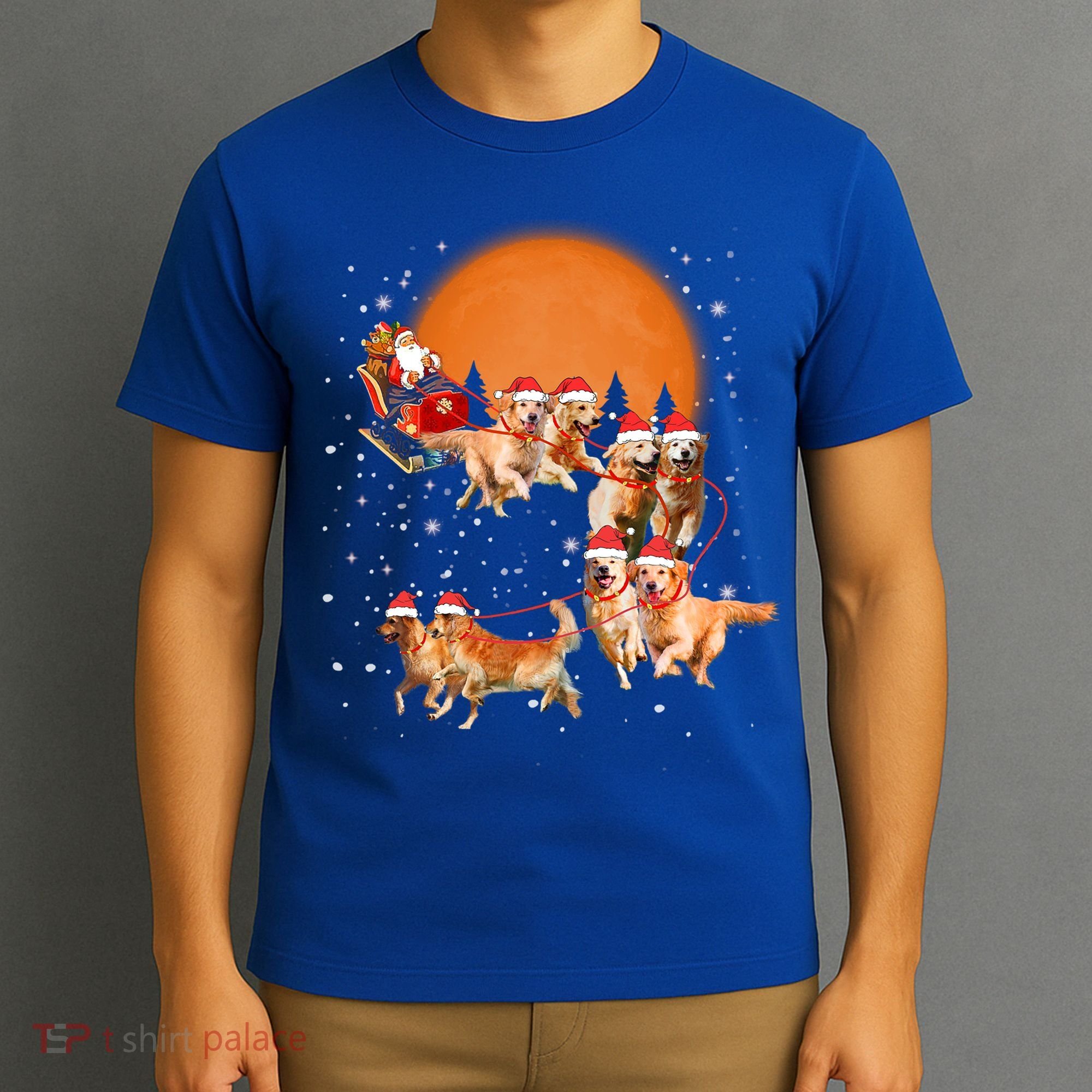 Golden Retriever Reindeer Santa Sleigh Christmas Dog Lover Gift T-Shirt