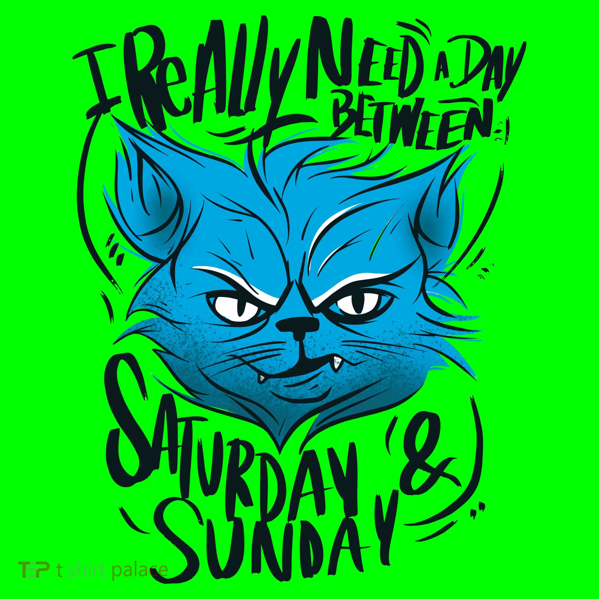 Grumpy Cat Weekend Funny Kids T-Shirt