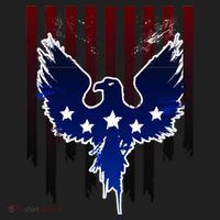 Grunge American Eagle USA Flag Hat thumb 2
