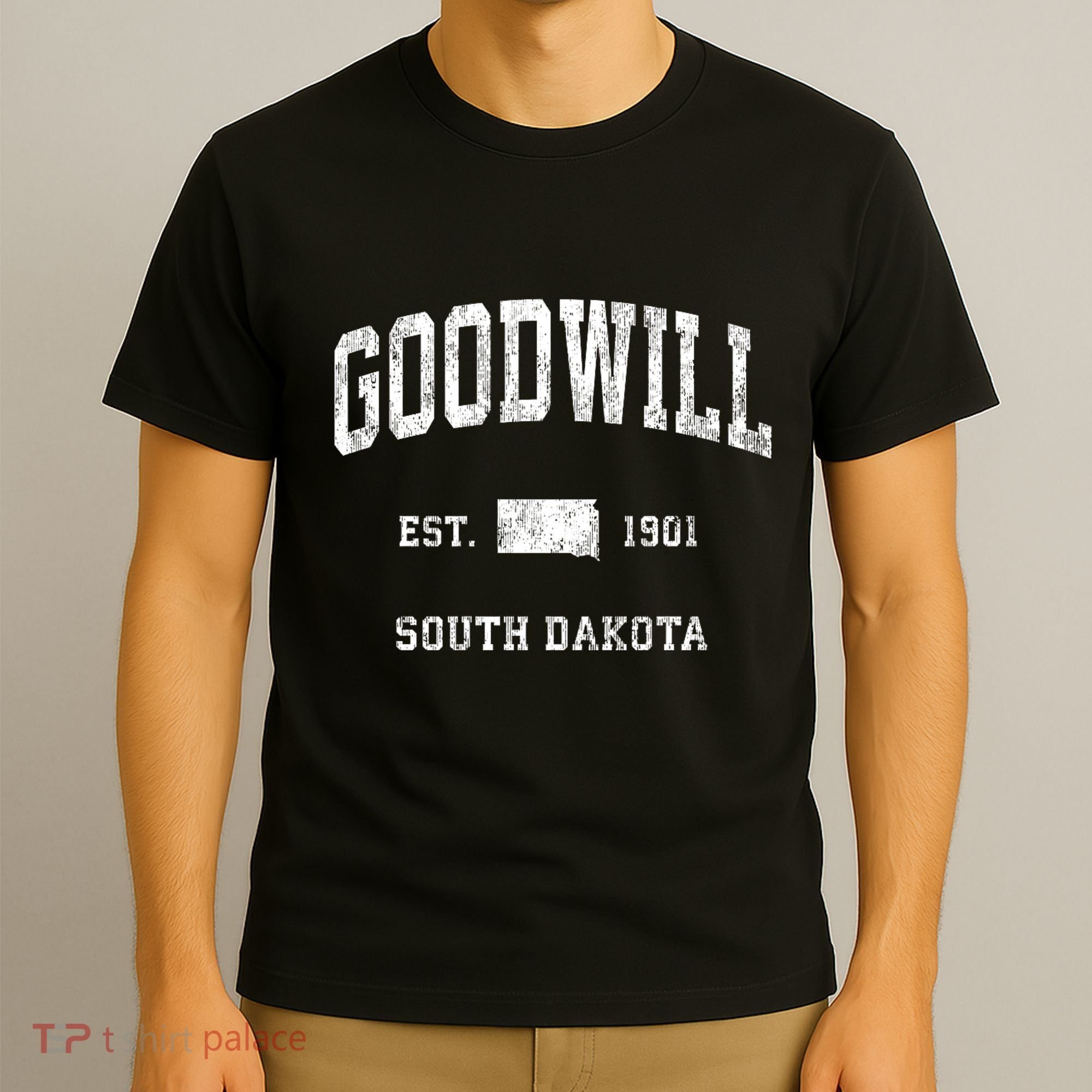 Goodwill South Dakota Sd Vintage Athletic Sports T-Shirt