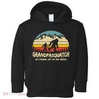 Grandpa Squatch Funny Bigfoot Sasquatch Fathers Day Gift Toddler Hoodie thumb 0