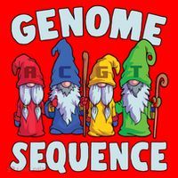 Genome Sequence Funny Gnome Biology Physics Science Pun Santa Hat thumb 1