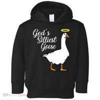 God's Silliest Goose Toddler Hoodie thumb 0