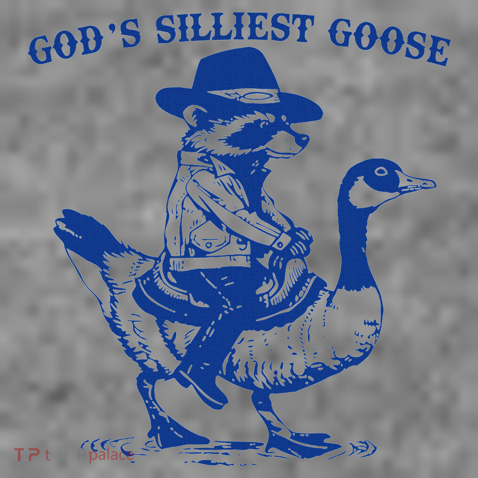 GodS Silliest Goose Funny Racoon & Goose Lovers Toddler Hoodie