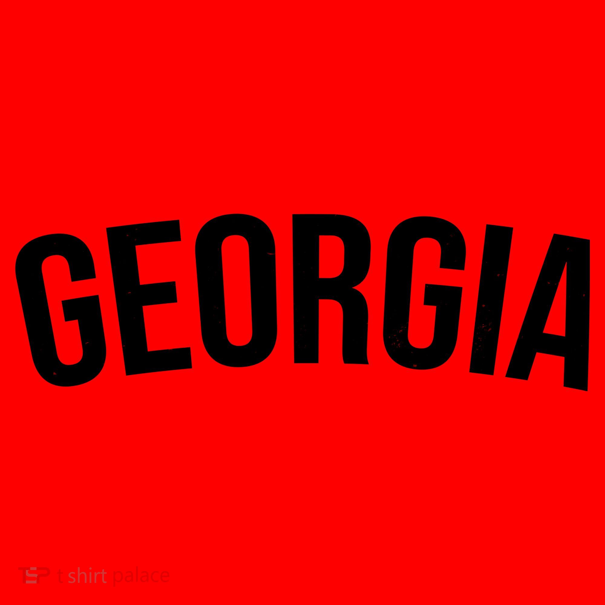 Georgia State Santa Hat