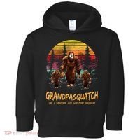 Grandpa Squatch Like A Grandpa Just Way More Squatchy Retro Toddler Hoodie thumb 0