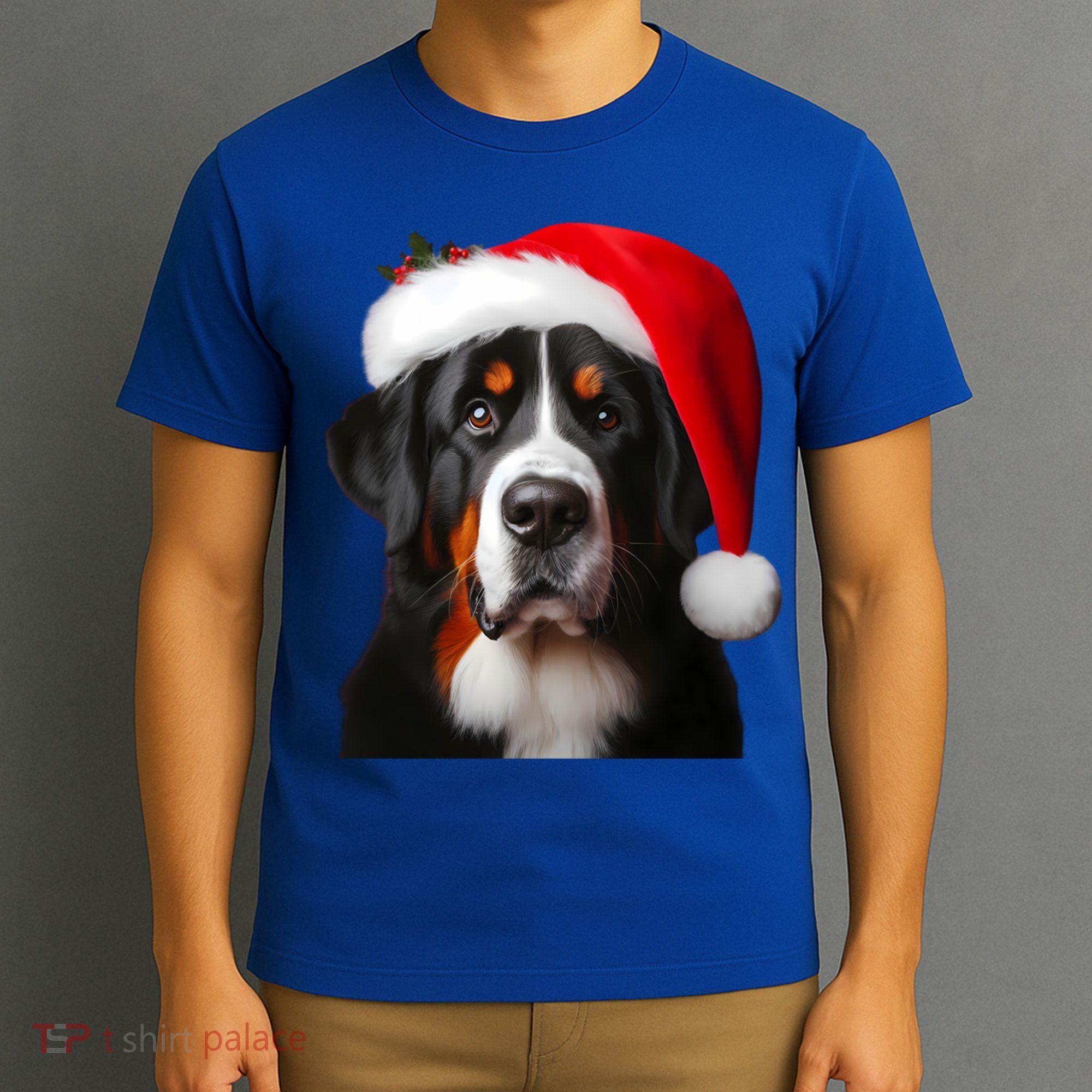 Greater Swiss Mountain Dog With Santa Hat Christmas Dog Mom Gift T-Shirt