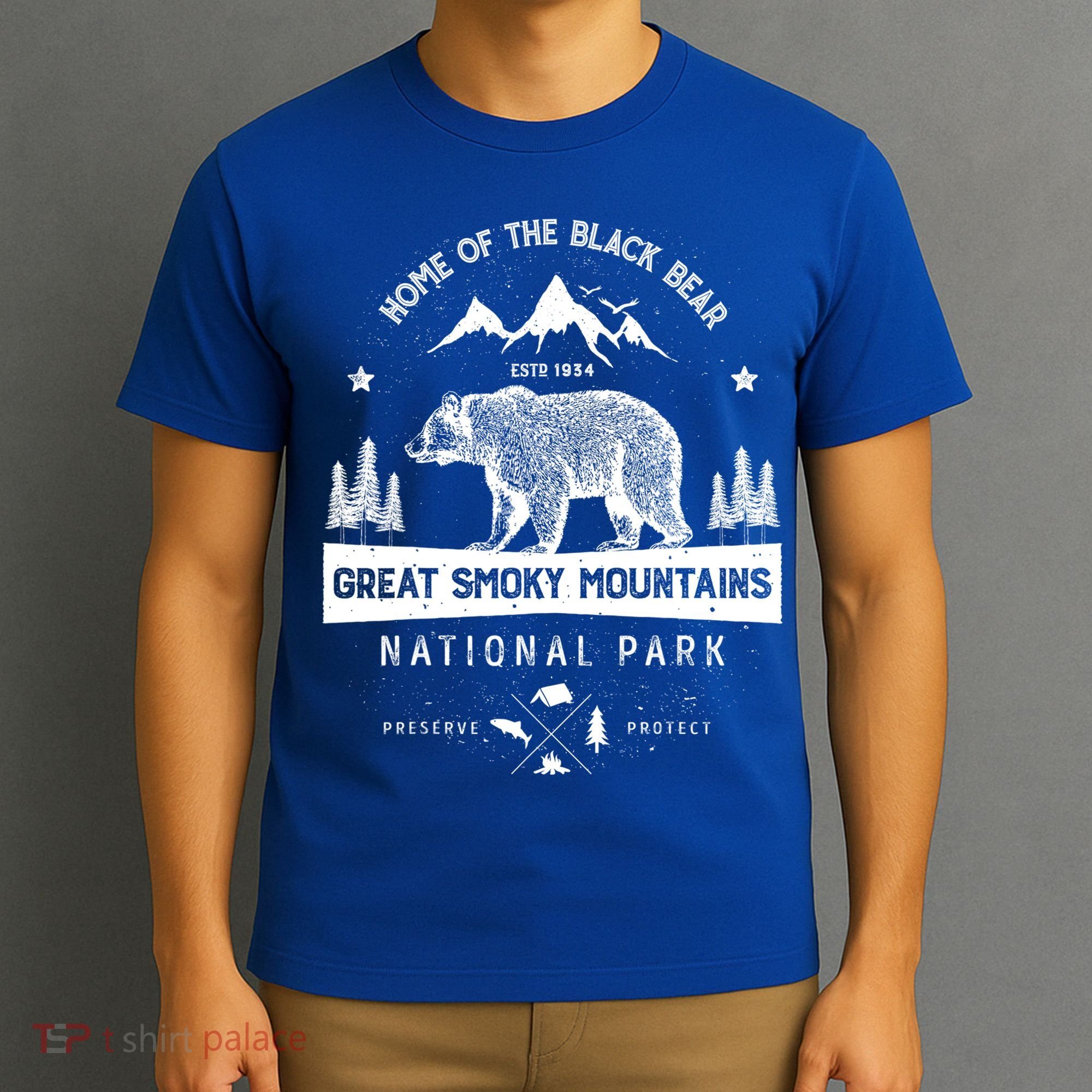 Great Smoky Mountains National Park Gift Bear Vintage Gift T-Shirt