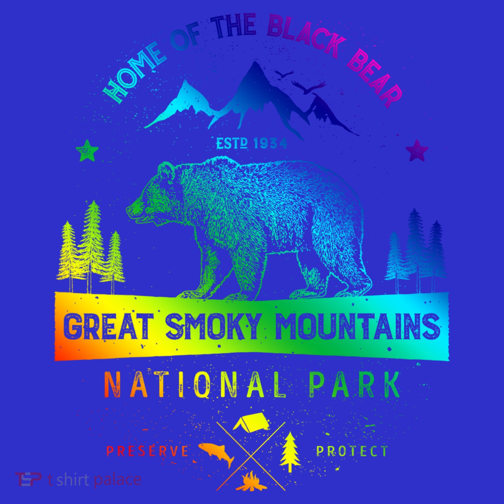 Great Smoky Mountains National Park Gift Bear Vintage Gift T-Shirt