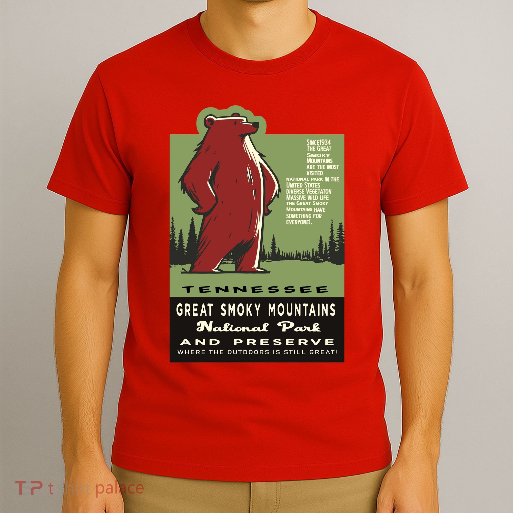 Great Smoky Mountains National Park Funny Bear Vintage T-Shirt