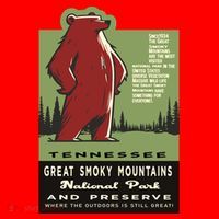 Great Smoky Mountains National Park Funny Bear Vintage T-Shirt thumb 7