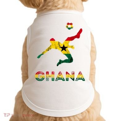Ghana Soccer Player Ghana Ghanese Roots Evolution Ghana Flag Doggie Tank