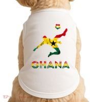Ghana Soccer Player Ghana Ghanese Roots Evolution Ghana Flag Doggie Tank thumb 0