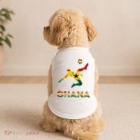 Ghana Soccer Player Ghana Ghanese Roots Evolution Ghana Flag Doggie Tank thumb 2