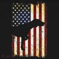 German Shorthaired Pointer Silhouette American Flag Women's T-Shirt thumb 6