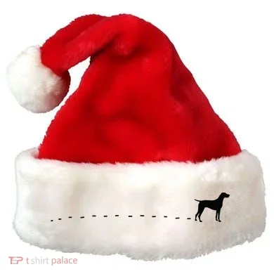Santa Hat