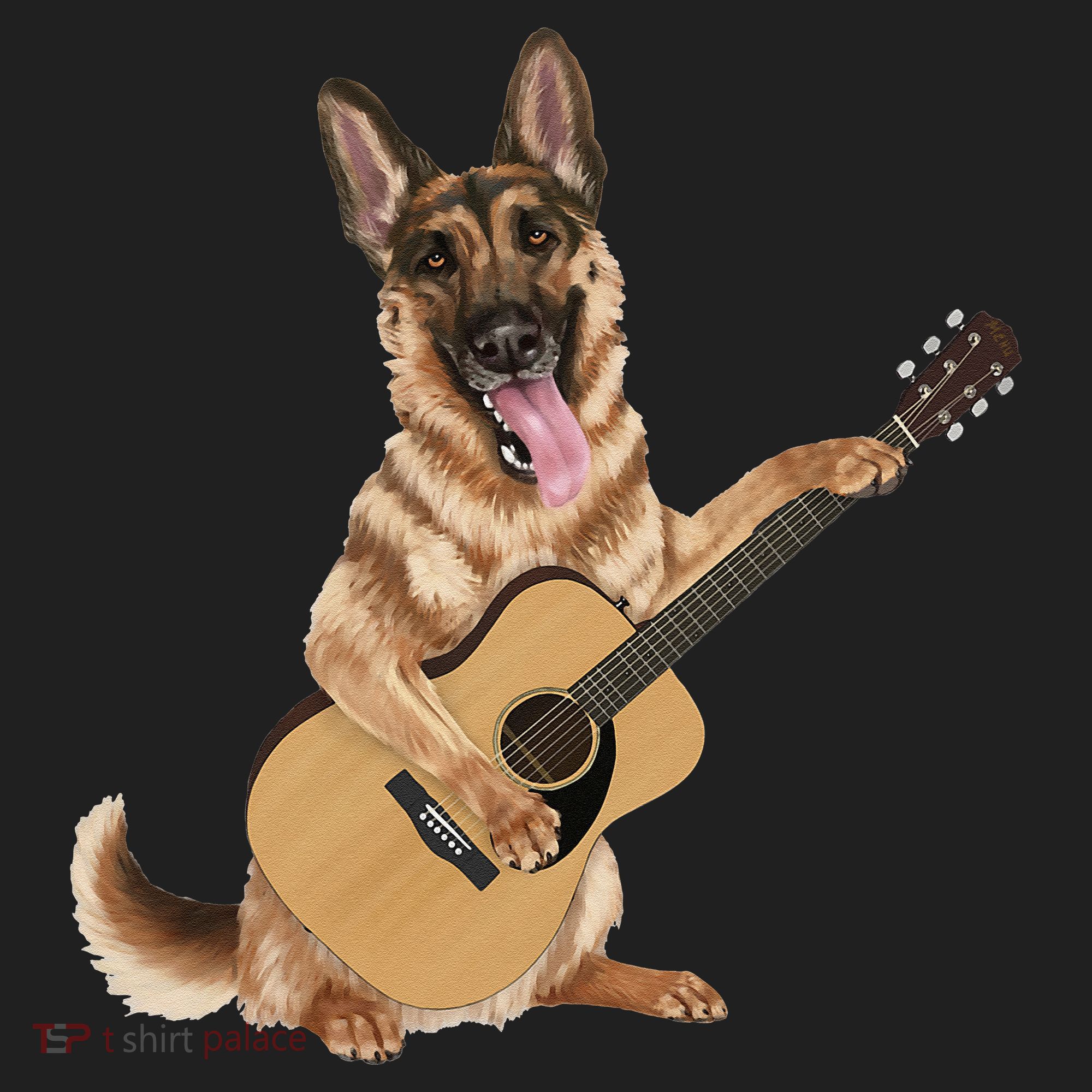 German Shepherd playing the acoustic guitar Beanie