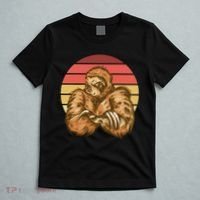 Grumpy Sloth Retro Sunset T-Shirt thumb 5
