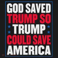 God Saved Trump So Trump Could Save America Ornament thumb 1