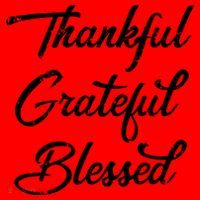 Grateful Thankful & Blessed Thanksgiving Santa Hat thumb 1