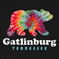 Gatlinburg Tennessee Bear Great Smoky Mountains Hoodie thumb 2