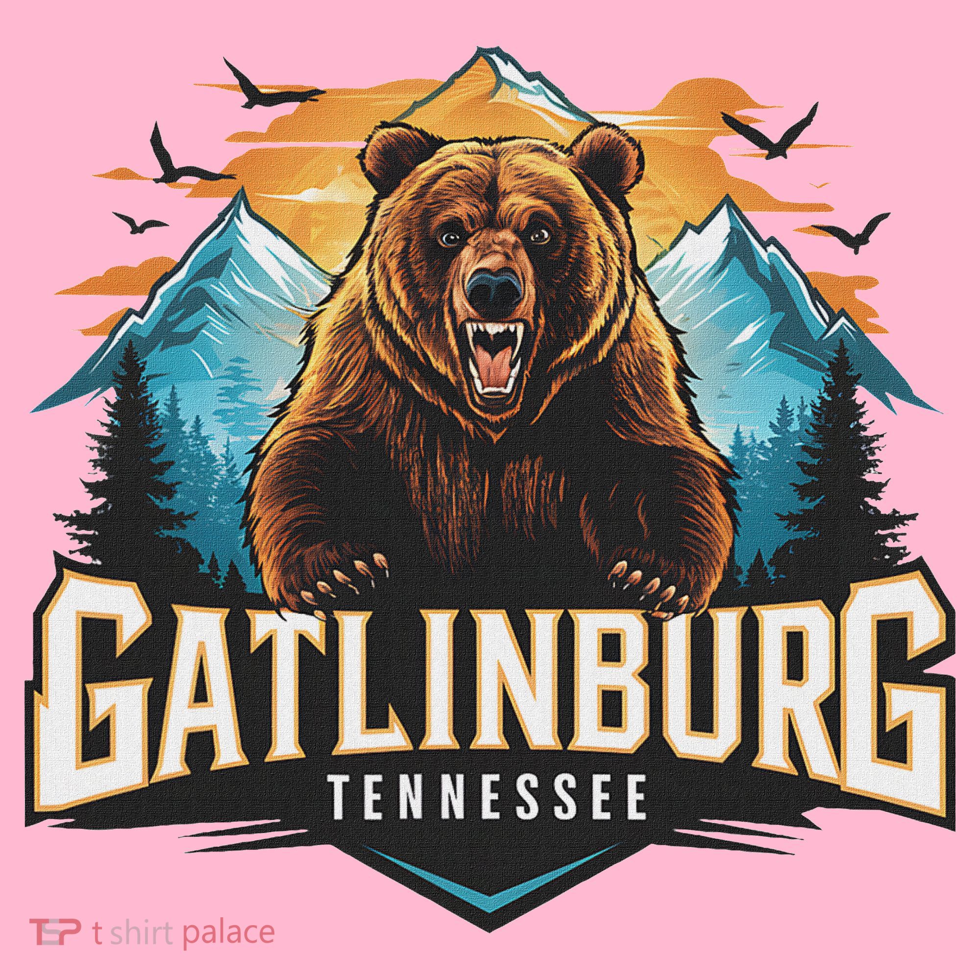 Gatlinburg Tennessee Bear Mountain Adventure Coaster