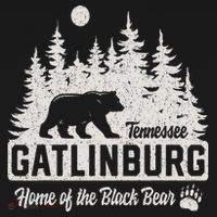 Gatlinburg Tennessee Black Bear Great Smoky Mountains Women's Hoodie thumb 2