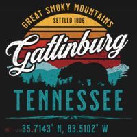 Gatlinburg Tennessee Great Smoky Mountains Bear Souvenir Cute Gift Women's Hoodie thumb 2