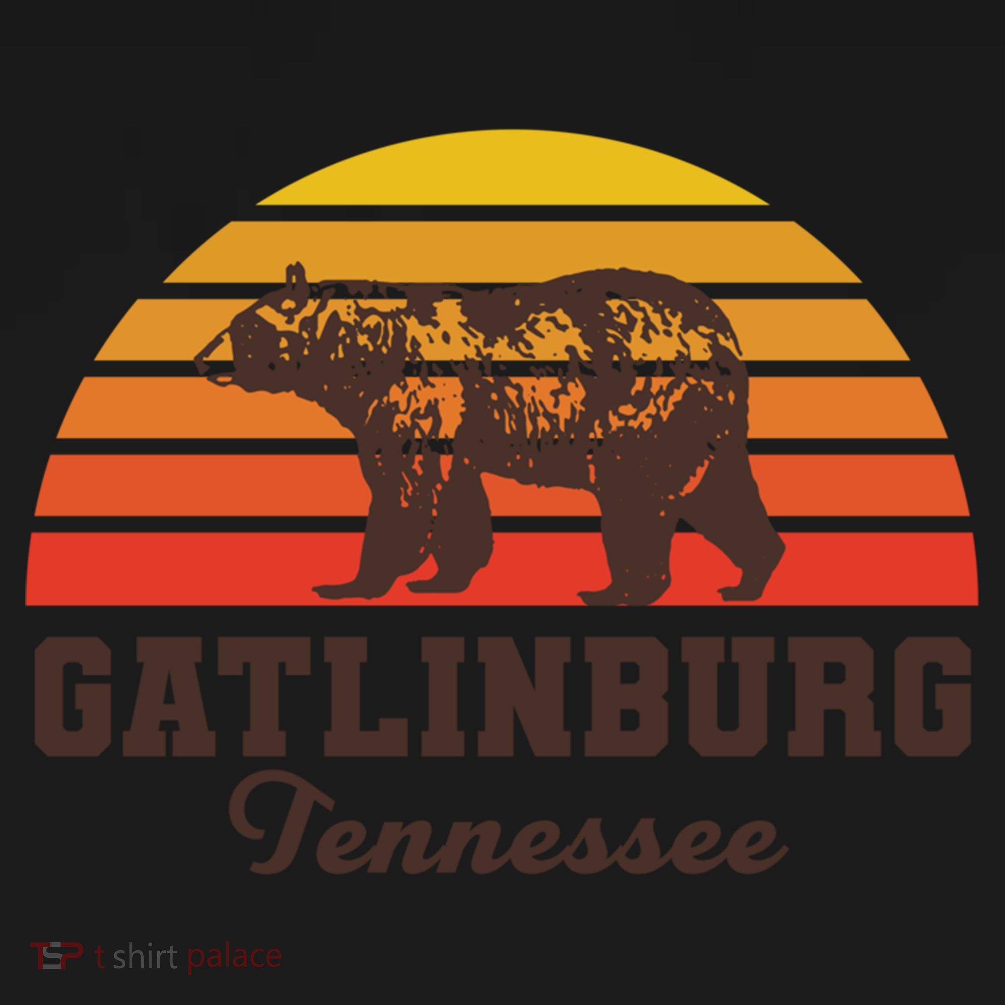 Gatlinburg Tennessee Great Smoky Mountains Bear Retro Sunset Gift Women's Hoodie