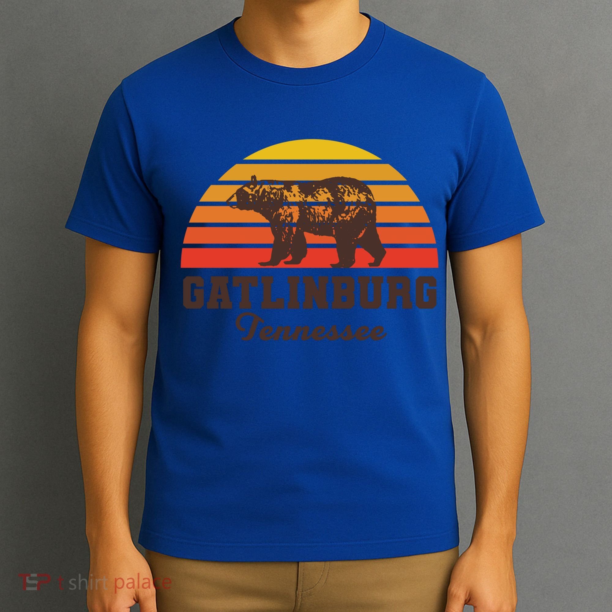 Gatlinburg Tennessee Great Smoky Mountains Bear Retro Sunset Gift T-Shirt