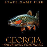 Georgia Territory Game Fish Southern Appalachian Brook Trout Coffee Mug thumb 5