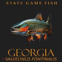 Georgia Territory Game Fish Southern Appalachian Brook Trout Beanie thumb 2