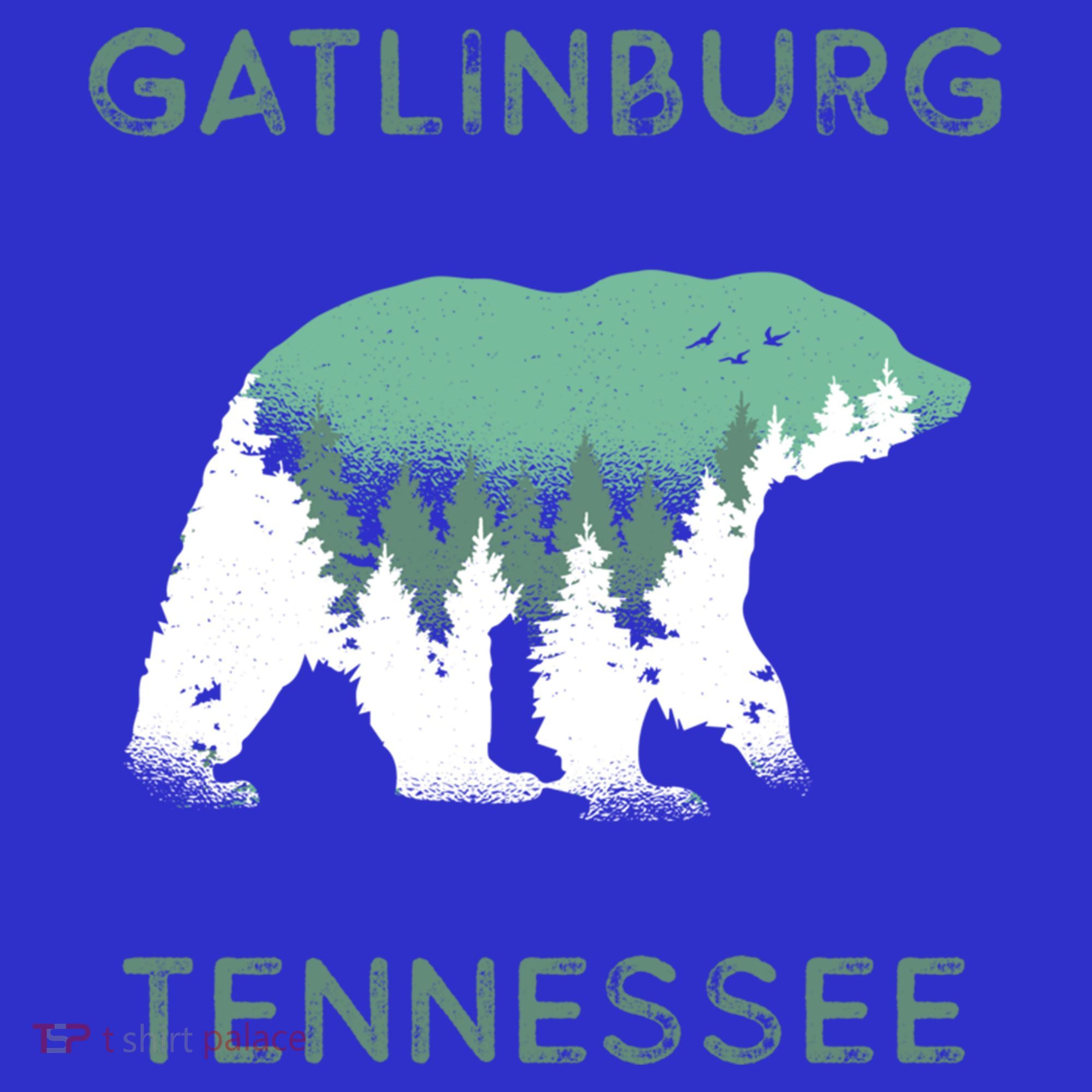 Gatlinburg Tennessee Great Smoky Mountains Bear Gift Women's Tank Top