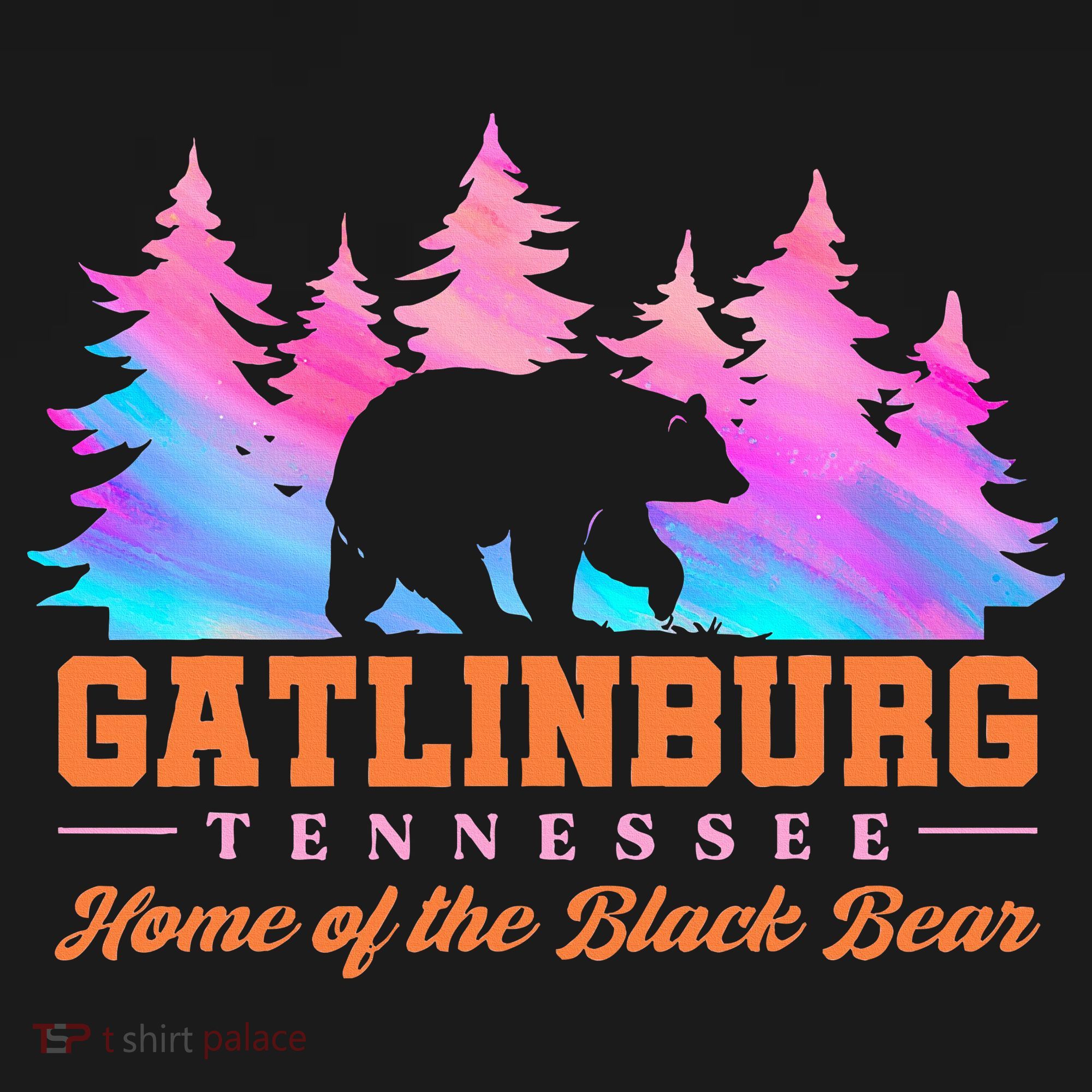 Gatlinburg Tennessee Home Of The Black Bear Women's Tank Top