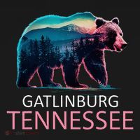Gatlinburg Tennessee Mountains Bear Usa Hiking Souvenir Tn T-Shirt thumb 7