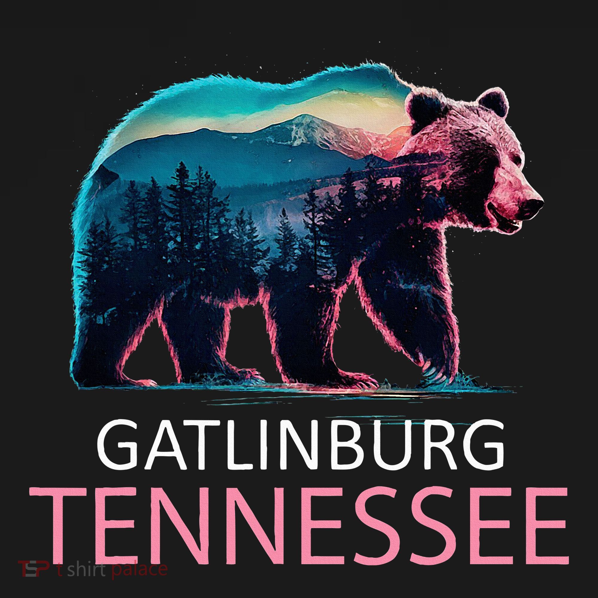 Gatlinburg Tennessee Mountains Bear Usa Hiking Souvenir Tn T-Shirt