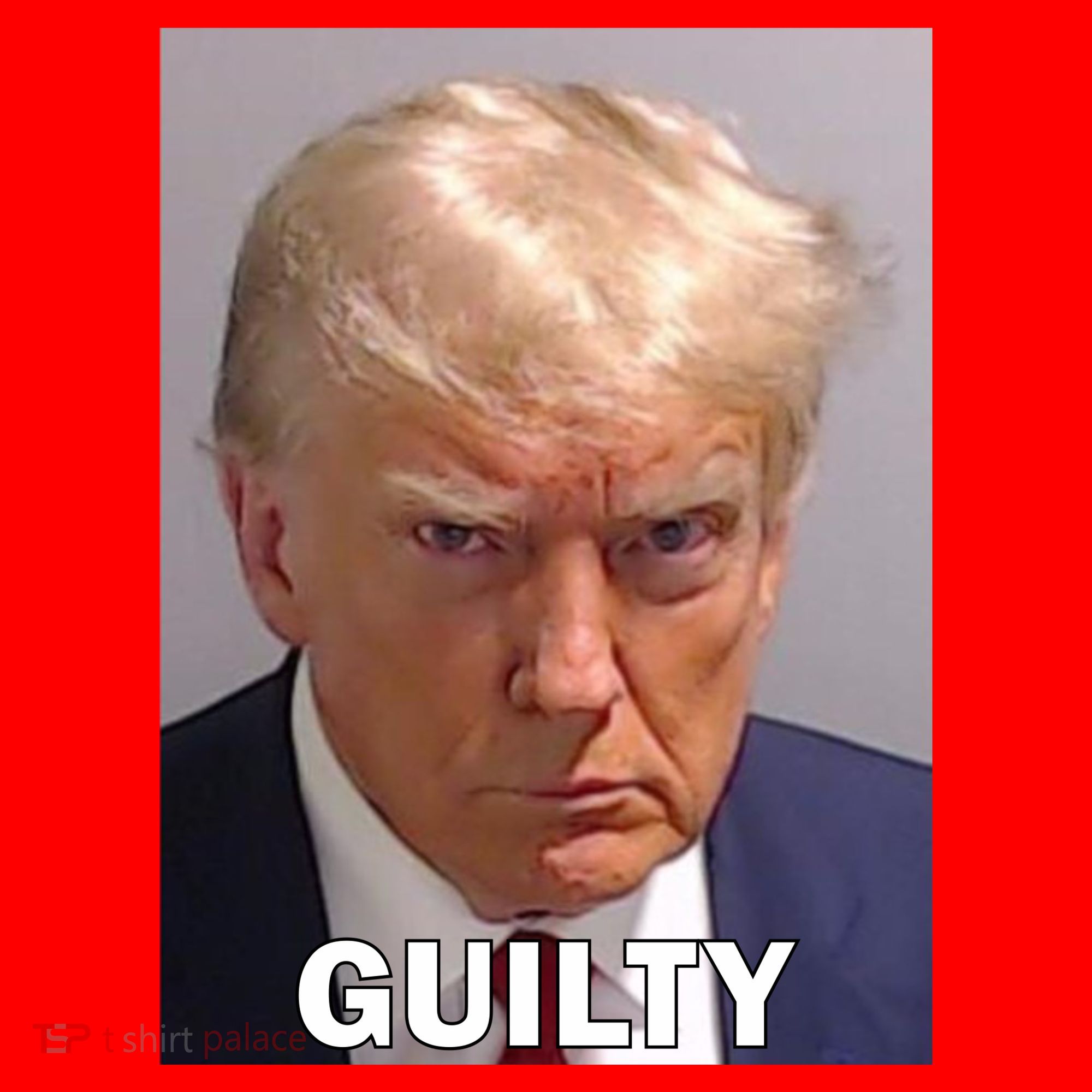 Guilty Trump Mugshot Santa Hat