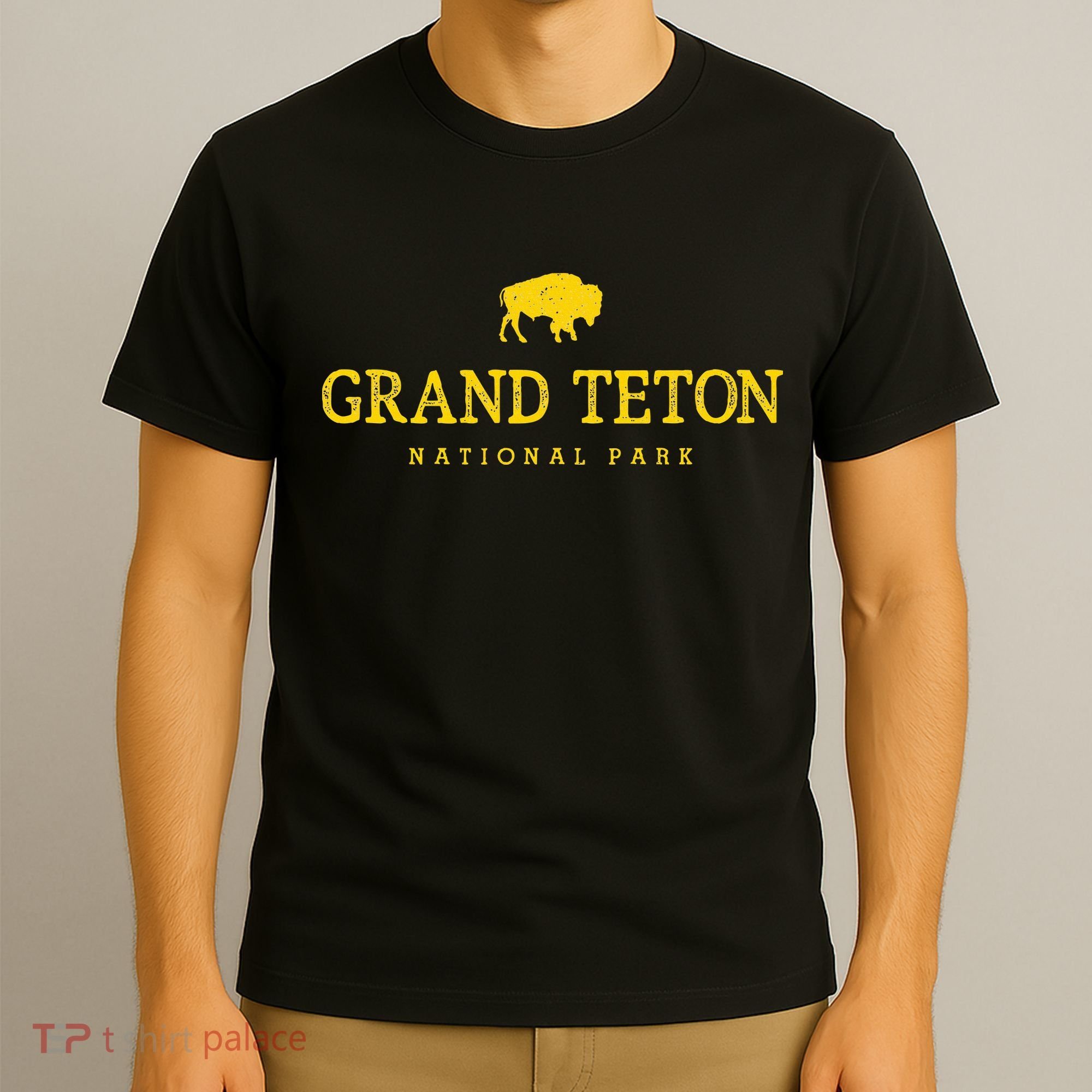 Grand Teton National Park Bison Vintage Hiking Souvenir T-Shirt