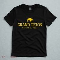 Grand Teton National Park Bison Vintage Hiking Souvenir T-Shirt thumb 5
