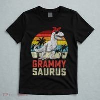 Grammysaurus T Rex Dinosaur Grammy Saurus MotherS Family Sweat T-Shirt thumb 5