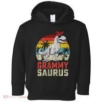 Grammysaurus T Rex Dinosaur Grammy Saurus MotherS Family Sweat Toddler Hoodie thumb 0