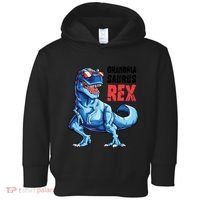 Grandmasaurus T Rex Dinosaur Grandma Saurus MotherS Family Toddler Hoodie thumb 0