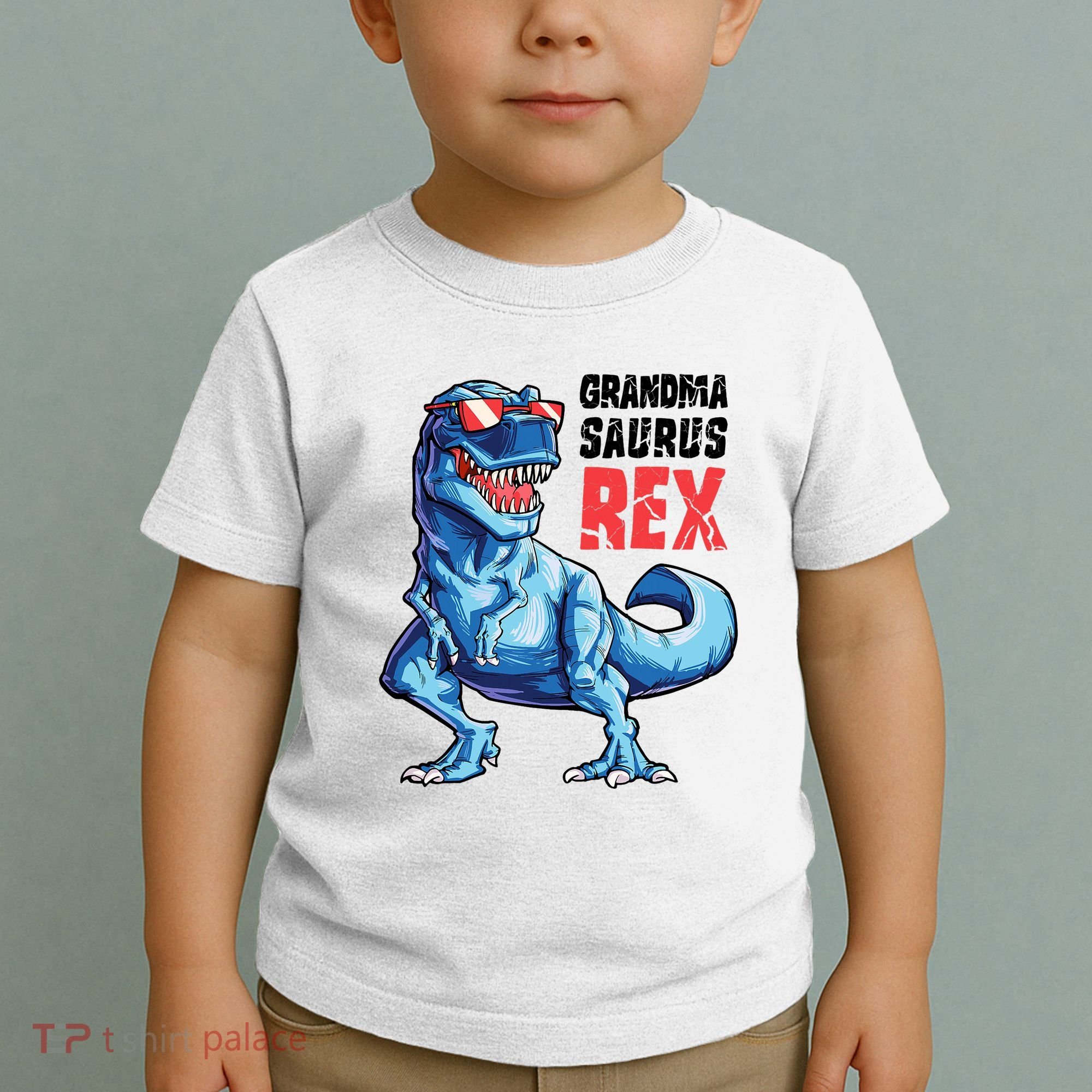 Grandmasaurus T Rex Dinosaur Grandma Saurus MotherS Family Toddler T-Shirt