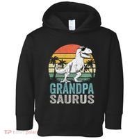 Grandpasaurus T Rex Dinosaur Grandpa Saurus Family Matching Sweat Toddler Hoodie thumb 0