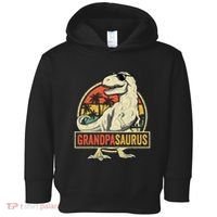 Grandpasaurus T Rex Dinosaur Grandpa Saurus Family Matching Toddler Hoodie thumb 0