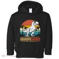 Grandpasaurus T Rex Dinosaur Grandpa Saurus Family Matching Toddler Hoodie thumb 0