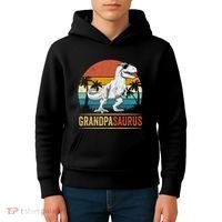 Grandpasaurus T Rex Dinosaur Grandpa Saurus Family Matching Kids Hoodie thumb 4