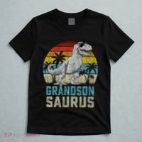 Grandsonsaurus T Rex Dinosaur Grandson Saurus Family T-Shirt thumb 5